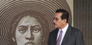 SEDARPA reporta más de 18 mil hectáreas dañadas en Álamo por contingencia.