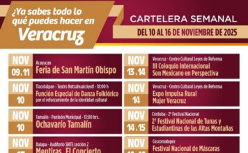 Veracruz está de moda con música, danza, ferias y festivales que celebran su identidad.