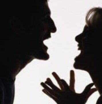 El impacto de los insultos en la conversación pública.