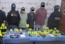 SSP Veracruz desmantela actividades ilícitas, logra detenciones y liberación de víctimas.