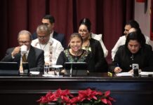 Veracruz está de moda, fortalece su identidad y diversidad cultural: SECVER