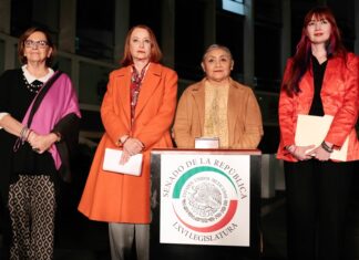 Senado anuncia presencia de Minou Tavárez Mirabal, hija de una de las hermanas Mirabal entre las actividades de una semana de activismo