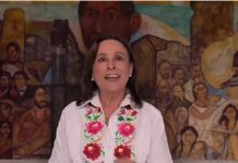 Trabajamos por la Educación en Veracruz: Rocío Nahle