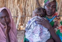 Sudán: Las mujeres que huyen de El Fasher sufren hambre, violaciones y bombardeos