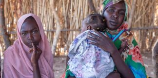 Sudán: Las mujeres que huyen de El Fasher sufren hambre, violaciones y bombardeos