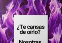 25N: la deuda del Estado con las mujeres #25N