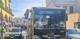 Prueban en Xalapa nuevos autobuses Ulúa con tarifa promocional de 13 pesos .