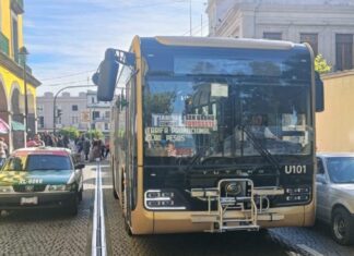 Prueban en Xalapa nuevos autobuses Ulúa con tarifa promocional de 13 pesos .