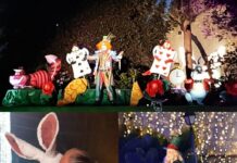 Alice Christmas su objetivo es descongelar corazones .