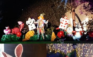 Alice Christmas su objetivo es descongelar corazones .