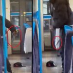 Ataque en tren británico deja once heridos; autoridades descartan terrorismo