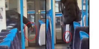 Ataque en tren británico deja once heridos; autoridades descartan terrorismo