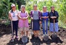 Sembrando Vidas mantiene brechas de género entre mujeres ejidatarias, alerta organización.