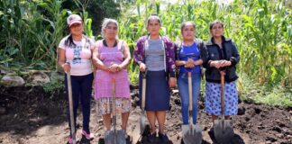 Sembrando Vidas mantiene brechas de género entre mujeres ejidatarias, alerta organización.