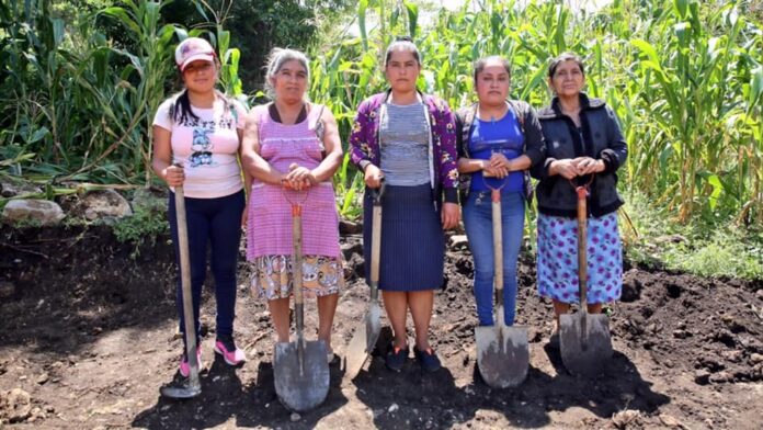 mujeres ejidatrias