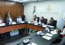 Se reúne la Comisión para la Igualdad de Género con legisladoras de Argentina.