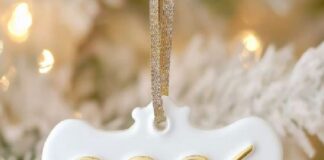 2025, el año que marcó un antes y un después en la política mexicana.