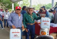 Gobierno de Veracruz invierte en la recuperación del sector primario tras inundaciones en la zona norte