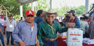Gobierno de Veracruz invierte en la recuperación del sector primario tras inundaciones en la zona norte