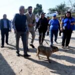 Xalapa, referente en bienestar animal: Alberto Islas.