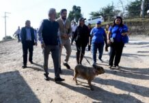 Xalapa, referente en bienestar animal: Alberto Islas.