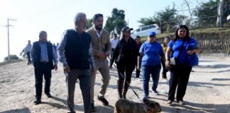 Xalapa, referente en bienestar animal: Alberto Islas.