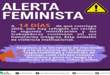 Red Nacional de Refugios termina 2025 bajo abandono institucional y falta de recursos