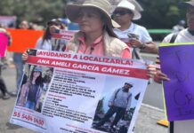 CIDH pide redoblar esfuerzos en búsqueda de Ana Amelí, desaparecida en el Ajusco .