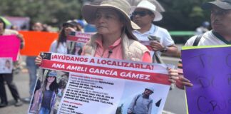 CIDH pide redoblar esfuerzos en búsqueda de Ana Amelí, desaparecida en el Ajusco .