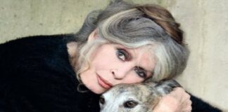 Fallece Brigitte Bardot, una figura que transformó el cine, la moda y el activismo.