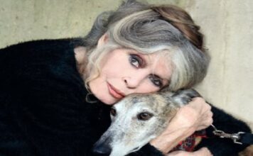 Fallece Brigitte Bardot, una figura que transformó el cine, la moda y el activismo.