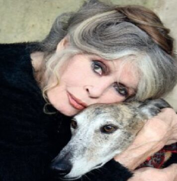 Fallece Brigitte Bardot, una figura que transformó el cine, la moda y el activismo.