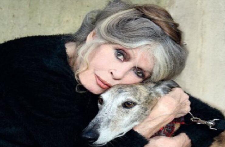 Fallece Brigitte Bardot, una figura que transformó el cine, la moda y el activismo.