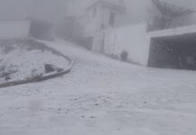 Se registra la primera caída de nieve de la temporada en el Cofre de Perote