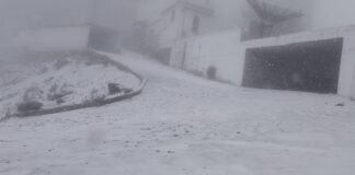 Se registra la primera caída de nieve de la temporada en el Cofre de Perote