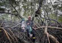 Latinoamérica: las 10 historias de mujeres que iluminaron la conservación en 2025.