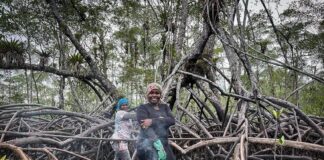 Latinoamérica: las 10 historias de mujeres que iluminaron la conservación en 2025.