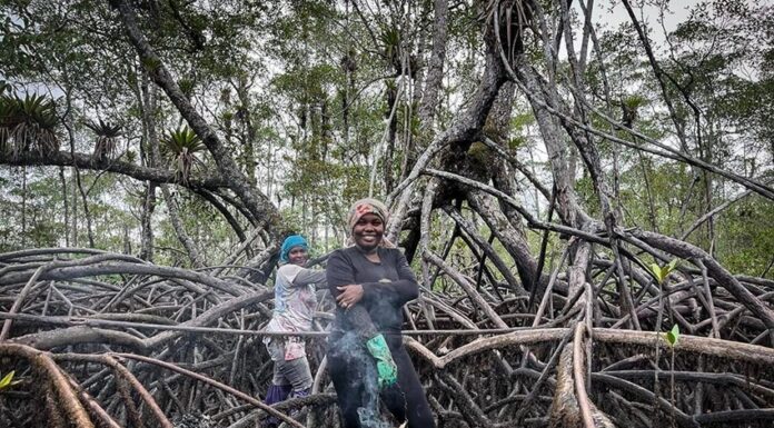 Latinoamérica: las 10 historias de mujeres que iluminaron la conservación en 2025.