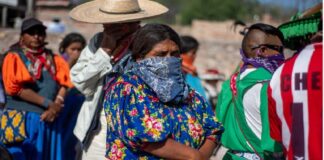 Condena CNI asesinato de representante agrario wixárika de Azqueltán