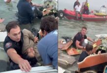 Asciende cifra fatal del desplome de avión de SEMAR; Marino desaparecido es de Veracruz