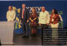 REMA rechazó impulso gubernamental a la minería en México.