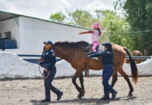 Equinoterapia de SSP, motor que impulsa y cambia la vida de niñas, niños y jóvenes con discapacidad