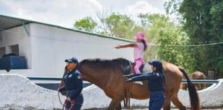 Equinoterapia de SSP, motor que impulsa y cambia la vida de niñas, niños y jóvenes con discapacidad