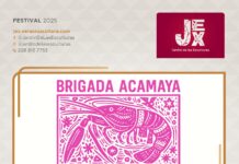Artistas y colectivos invitan a disfrutar del Festival Música por la Huasteca en el JEX.