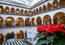 Este miércoles no habrá cobro de servicios en la Tesorería del Ayuntamiento.