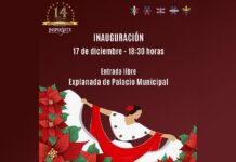 Continúan las actividades culturales en Xalapa #Disfrutalas