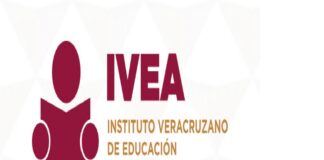 Invitan SEV e IVEA a docentes a participar como alfabetizadores.