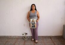 La incansable búsqueda de Cassandra.