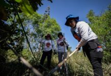 Mundial 2026 en el país de los 130 mil desaparecidos: madres buscadoras piden no venir a México