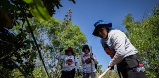 Mundial 2026 en el país de los 130 mil desaparecidos: madres buscadoras piden no venir a México